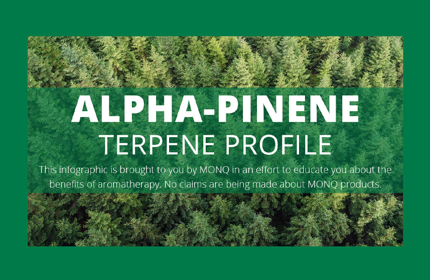 Alfa-pinene 100% Puro Terpene Naturale FG (Food Grade) – 100 Grammi, Non Marchiato