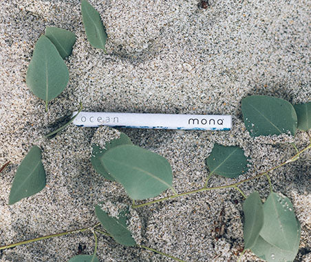 The Enchanting World of Eucalyptus