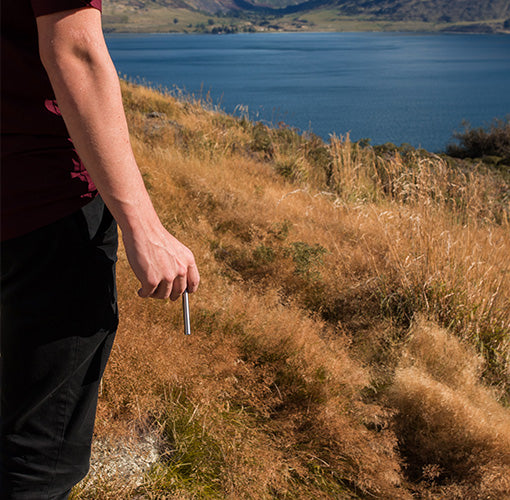 Confronting Chronic Stress