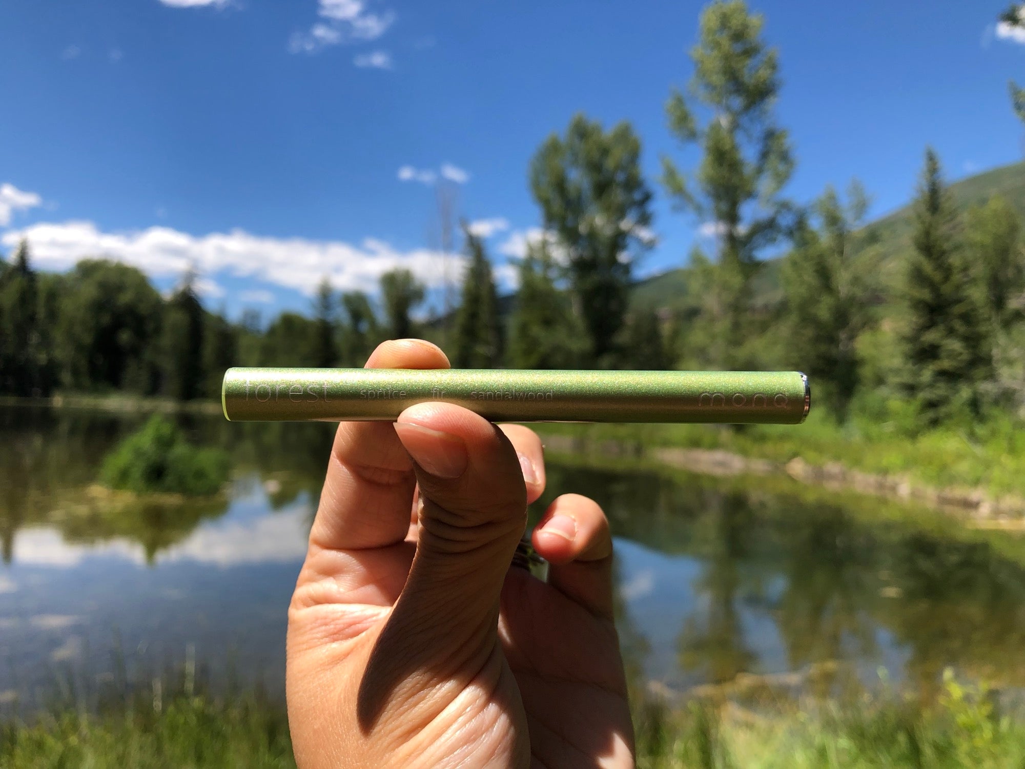Hand holding MONQ diffuser against dense pine and conifer forest — the botanical terpenes of Shinrin-yoku forest bathing, portable