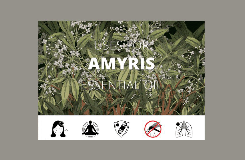 Amyris Essential Oil Uses