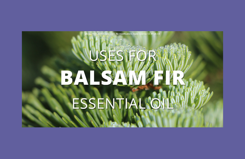 Balsam Fir Essential Oil Uses