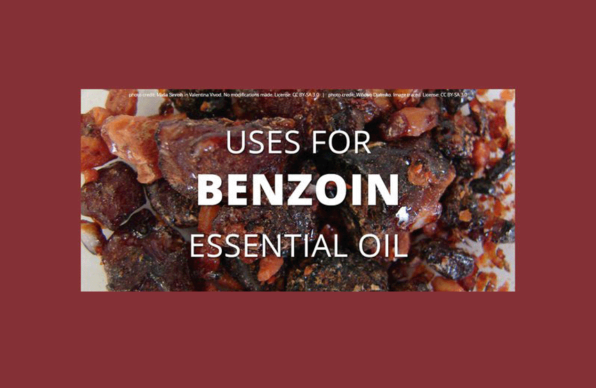 Benzoin Essential Oil Uses