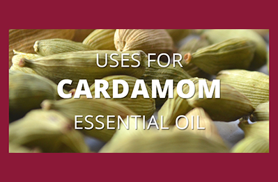 Cardamom Essential Oil Uses