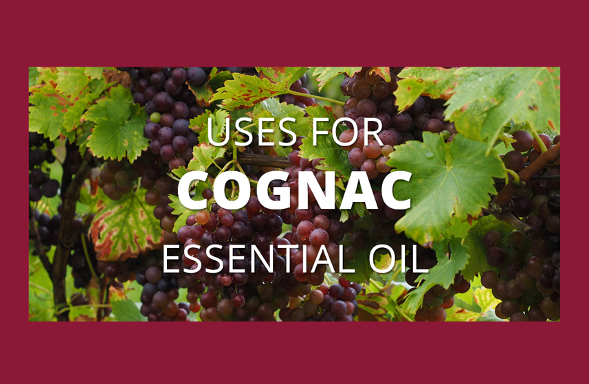 Cognac Essential Oil