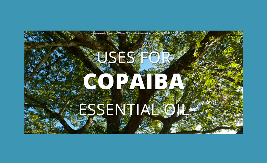 Copaiba Essential Oil Uses