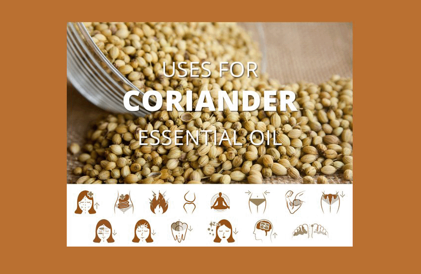 Coriander Essential Oil Uses