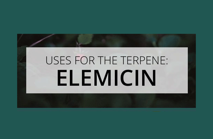 Elemicin Terpene Uses