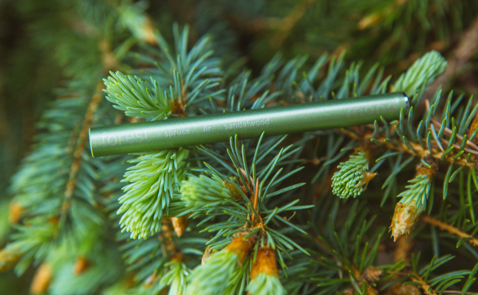Can Paleo Air Boost Intelligence?