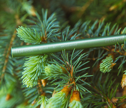 The Wonders of Trees: Breathing Life into Our World