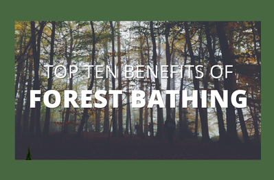 Forest Bathing Benefits