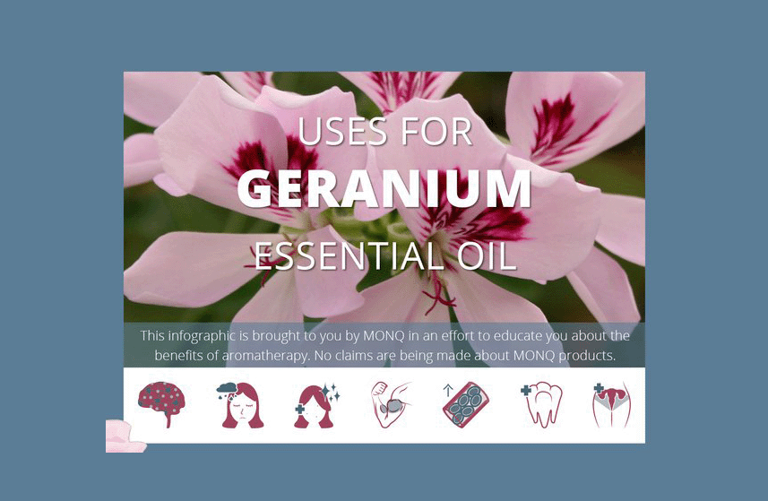 Geranium Essential Oil Uses