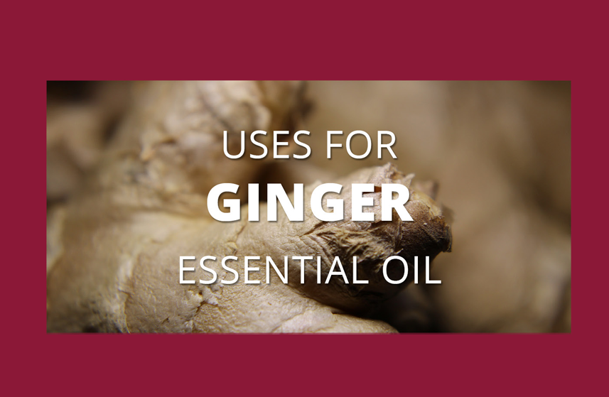 Ginger Essential Oil Uses