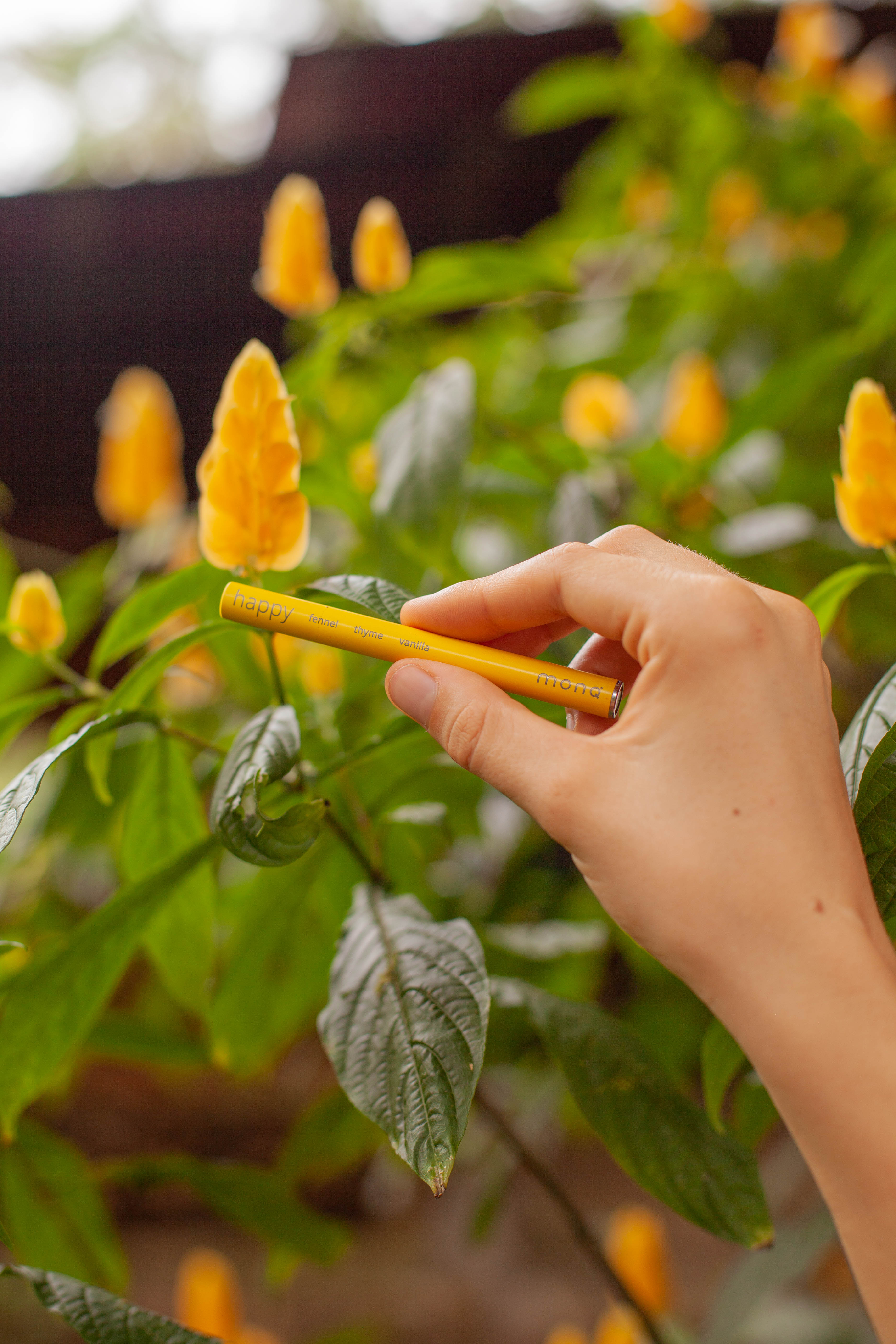 Patchouli Essential Oil - An Opulent Oil Known as Liquid Gold