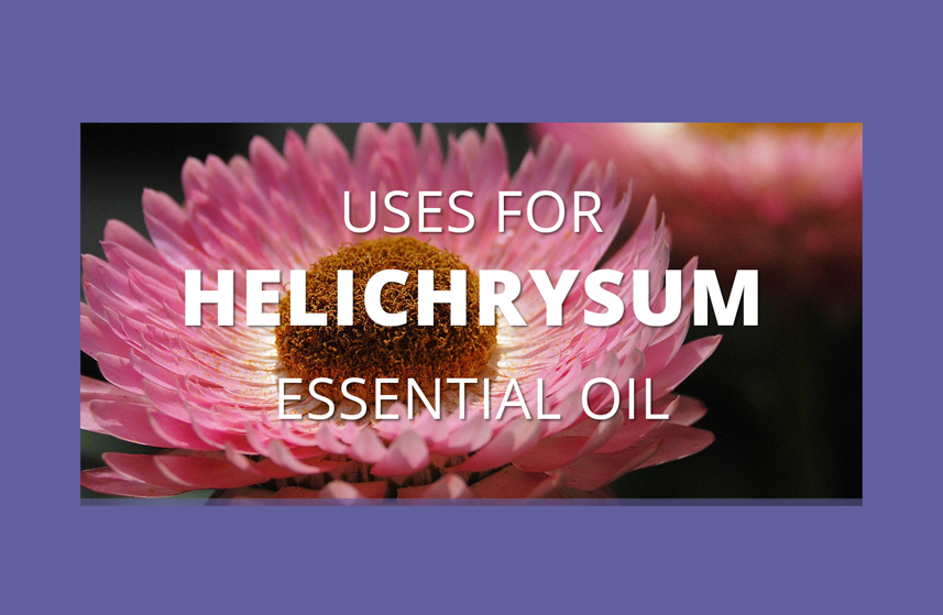 Helichrysum Essential Oil Uses