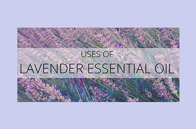 Lavender Essential Oil Uses