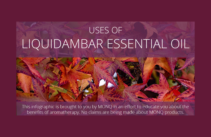 Liquidambar Essential Oil Uses