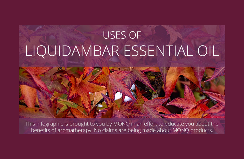 What is Liquidambar? – MONQ