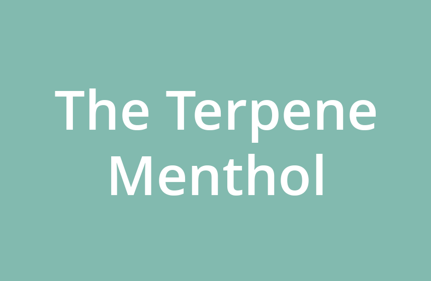 Menthol Terpene