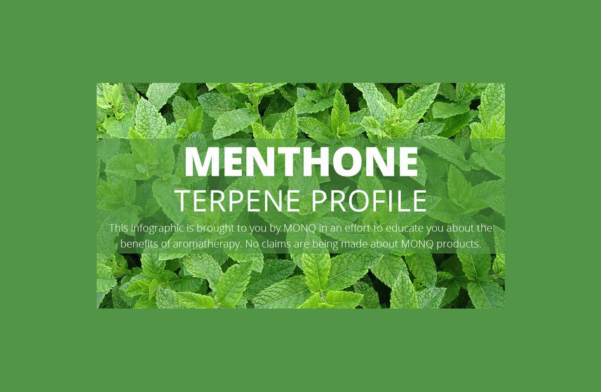 Methone Terpene Profile