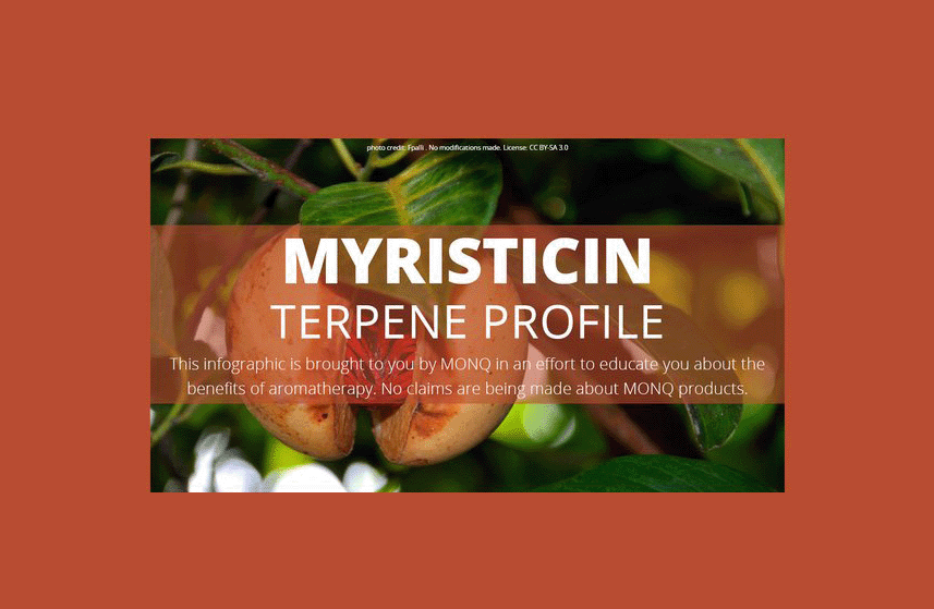 Myristicin Terpene Profile