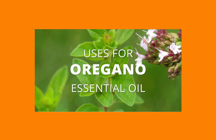 Oregano Essential Oil