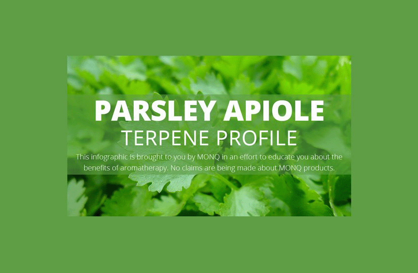 Parsley Apiole Terpene Profile