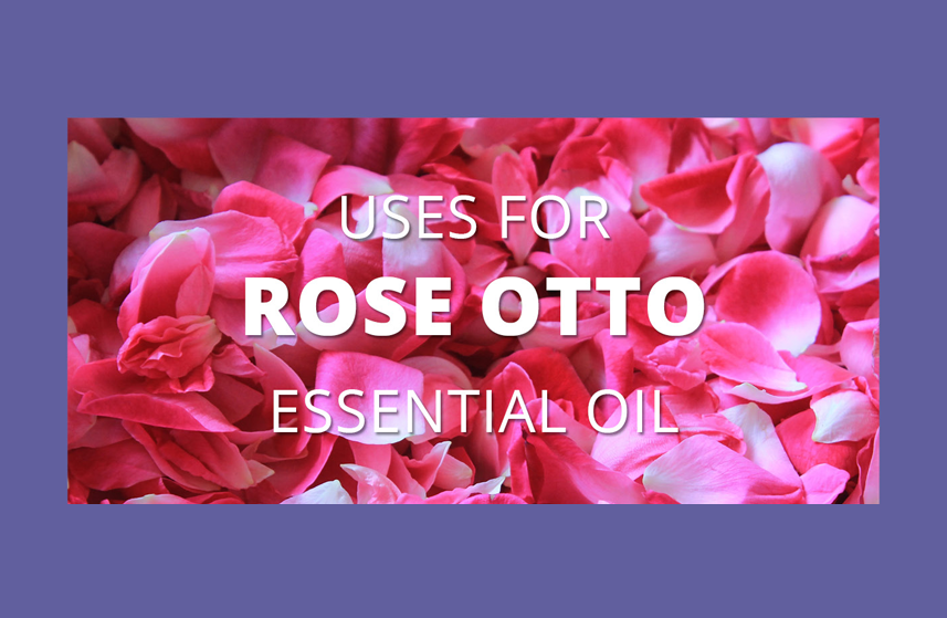 Rose Otto Essential Oil Uses