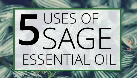 Sage Essential Oil Uses