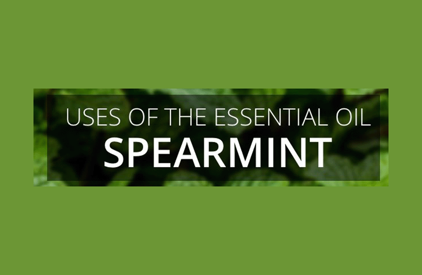 Spearmint Essential Oil Uses