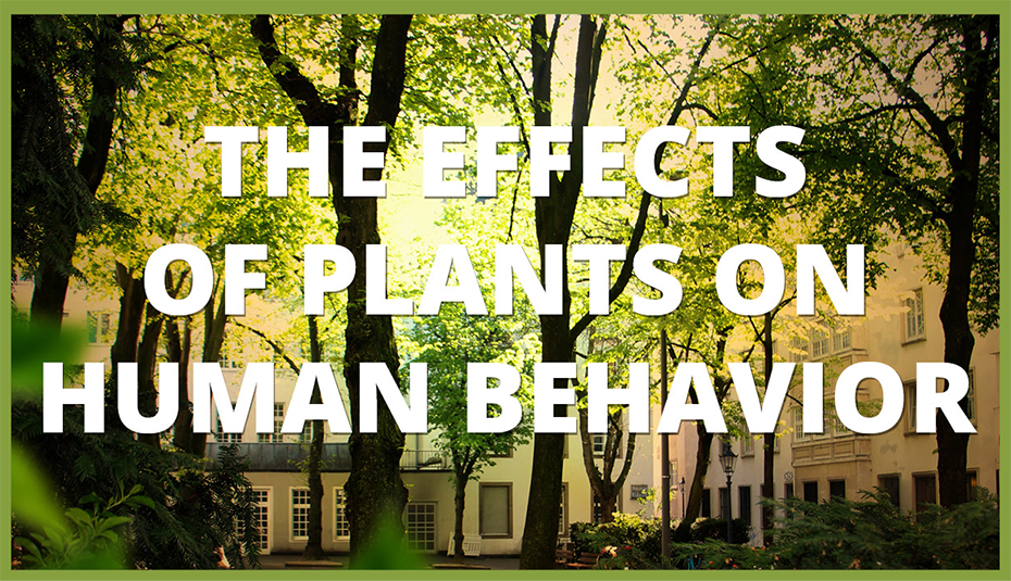 The Effects of Plants on Human Behavior
