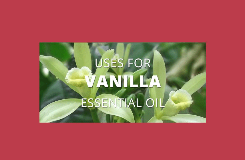 Vanilla Essential Oil Uses