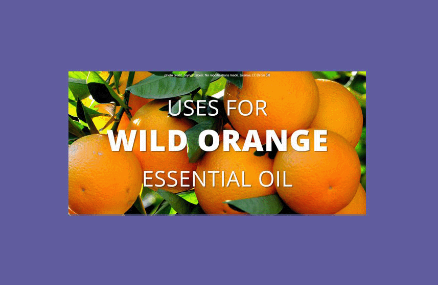 Wild Orange Essential Oil Uses