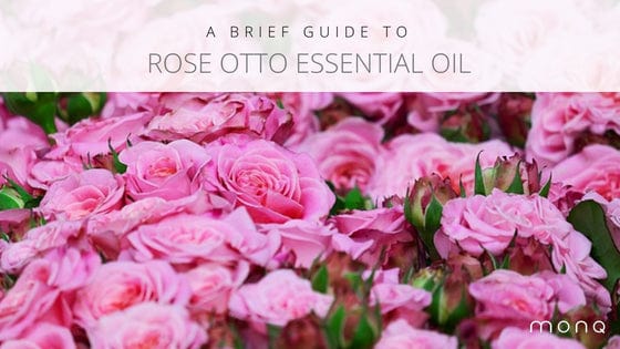 Rose otto essential oil