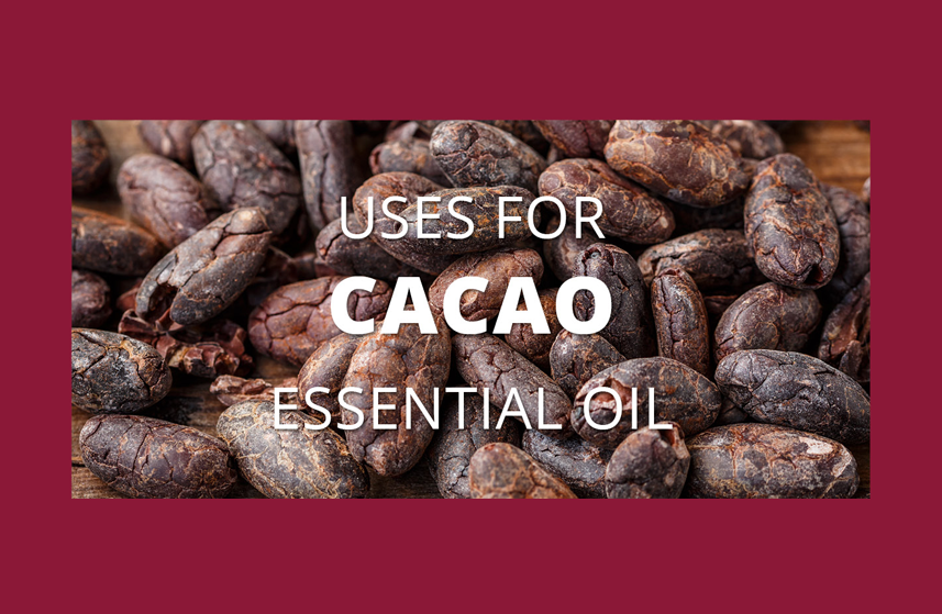 Cacao Essential Oil Uses