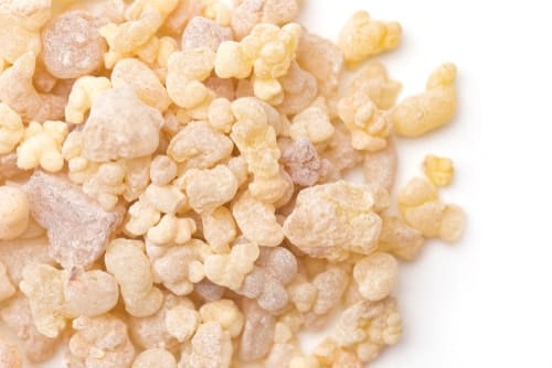 Frankincense: History, Benefits, and Uses of the Holy Grail Essential Oil