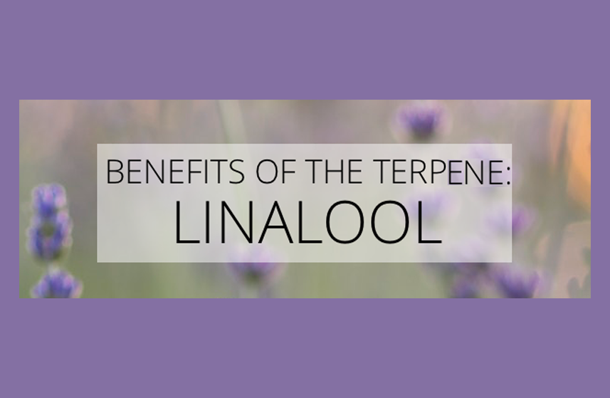 What is Linalool? – MONQ