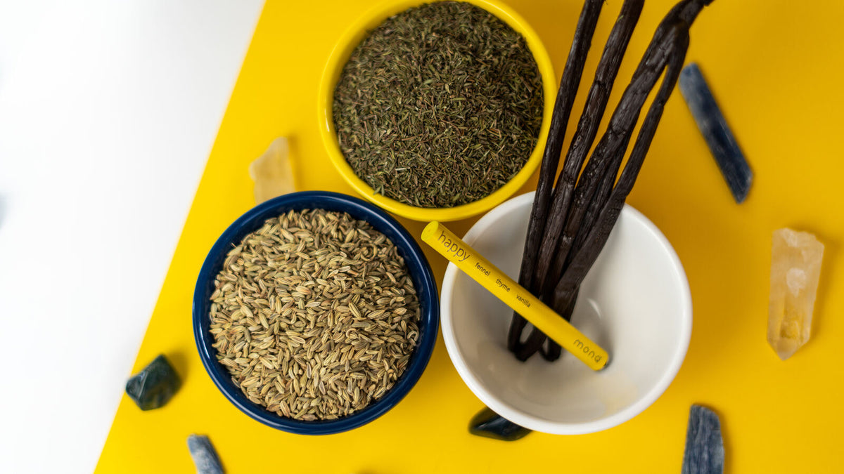 Botanical ingredients and a MONQ diffuser arranged for comparing aroma profiles