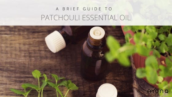 patchouli essential oil