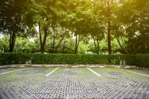 Why Cities Need More Parks with Trees and Forests