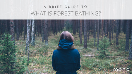 what is forest bathing|evolution