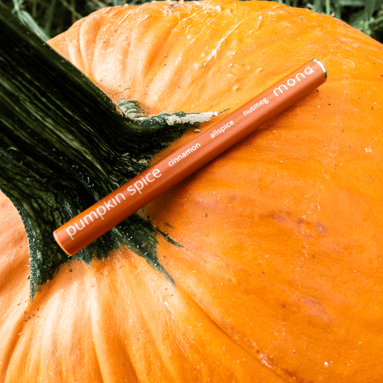 MONQ Original Diffusers Pumpkin Spice Original Diffuser