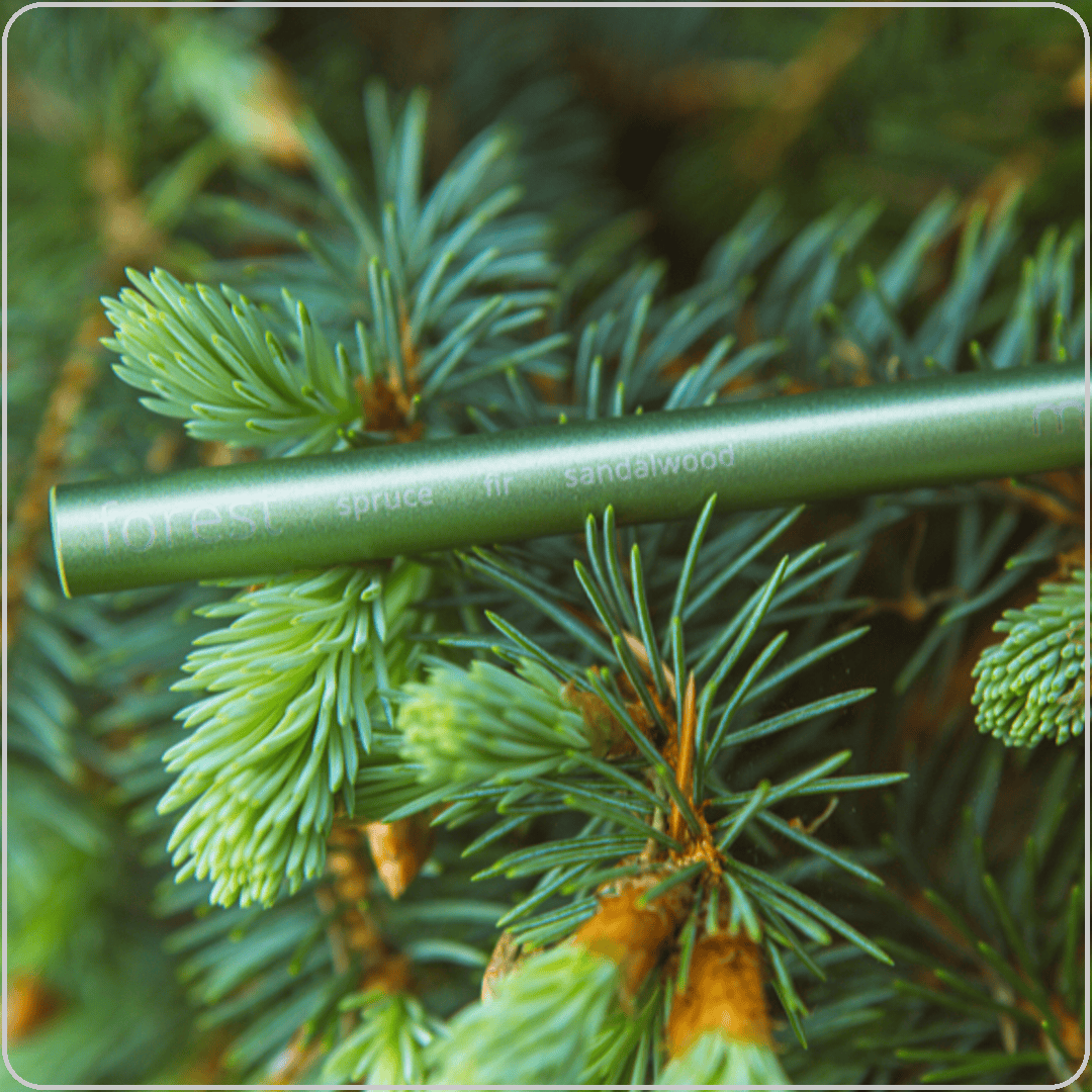 MONQ Aromatherapy Diffuser Forest MONQ Diffuser