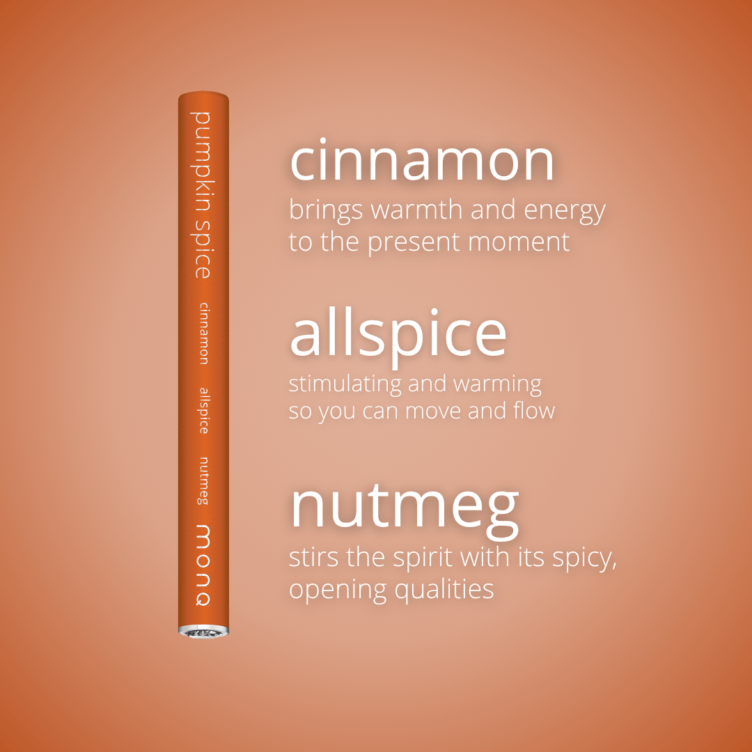 MONQ Original Diffusers Pumpkin Spice Original Diffuser
