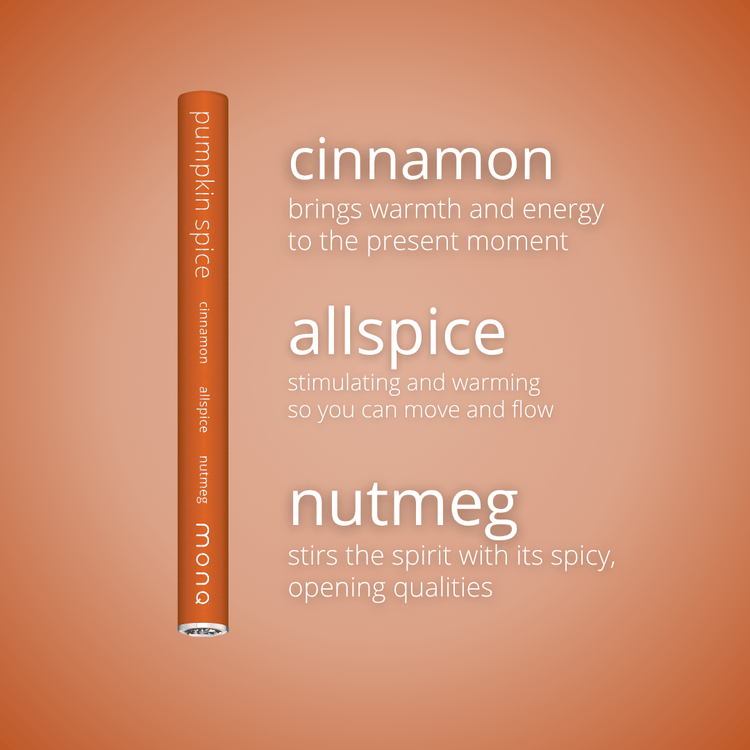 MONQ Original Diffusers Pumpkin Spice Original Diffuser