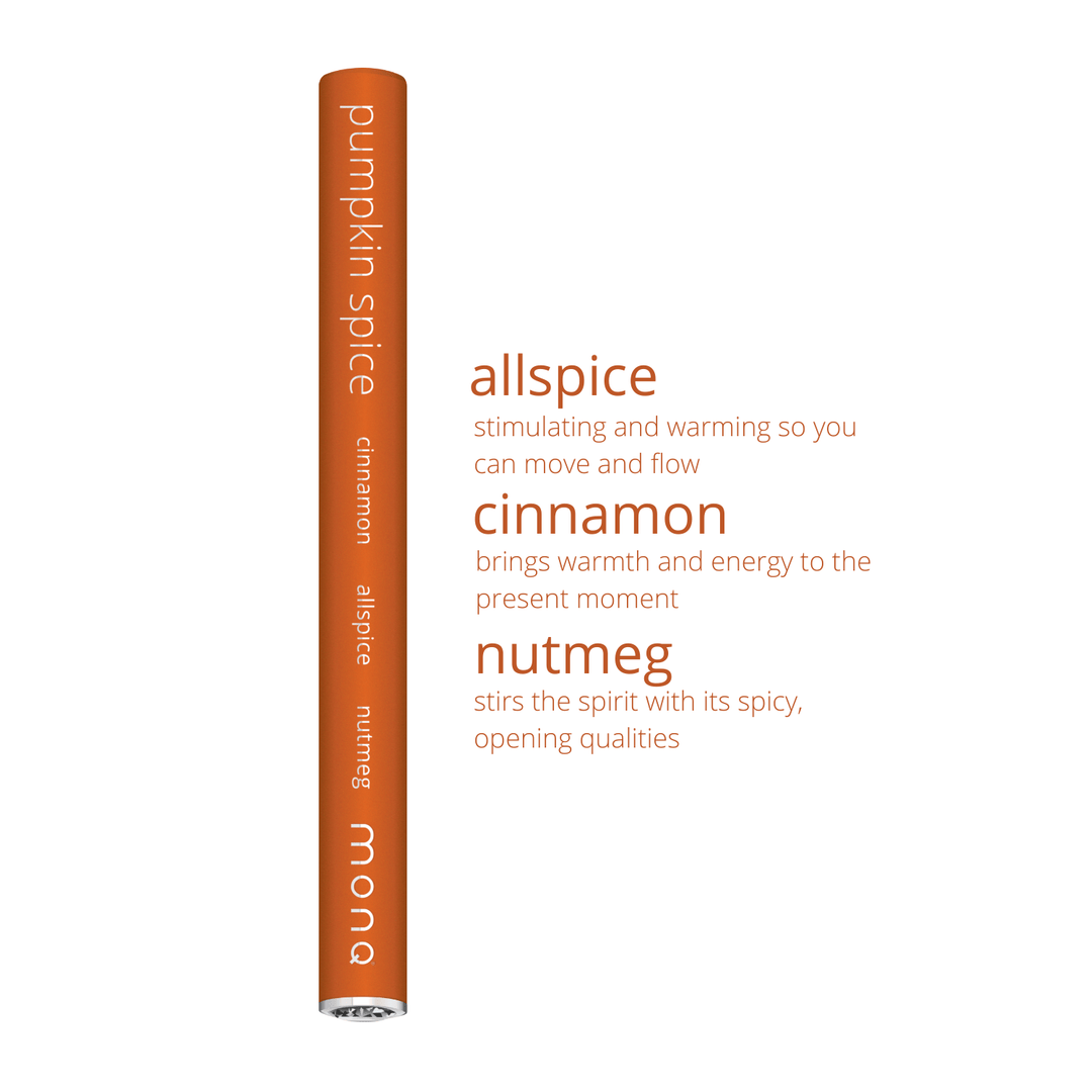 MONQ Original Diffusers Pumpkin Spice Original Diffuser